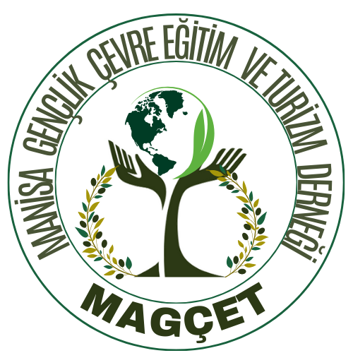 MAGCET Logo